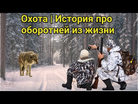 Видео: Охота | Истории про оборотней из жизни