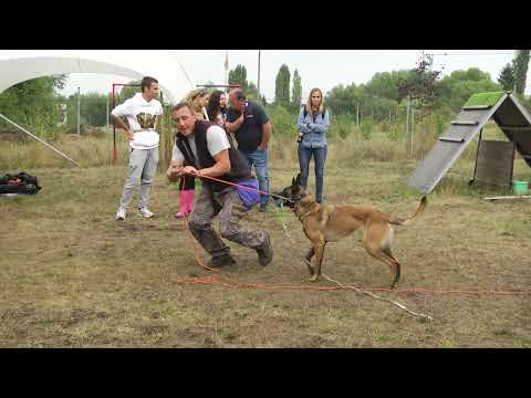 Видео: Кой е Стефан Гелимачев?