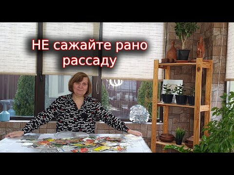 Видео: Не спешите сажать рано рассаду