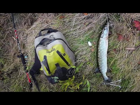 Видео: Осенняя ловля щук на спиннинг. Река Хопёр