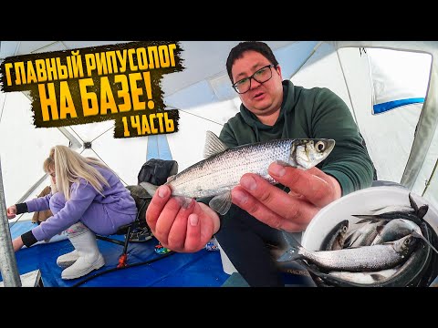 Видео: ГЛАВНЫЙ СЕКРЕТ РИПУСОВОЙ РЫБАЛКИ РАСКРЫТ. ЛЕНЧИК, МЕНЯ СНОВА ОБЛОВИЛА. Часть 1