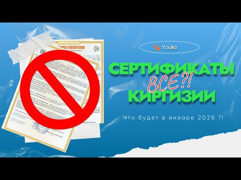 Видео: Таможня просит документы по киргизским сертификатам ТРТС. Что делать?