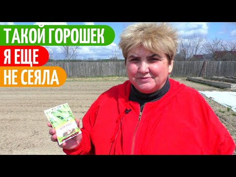 Видео: Посев НОВИНОК и Формирование Грядок. Садим-сеем.