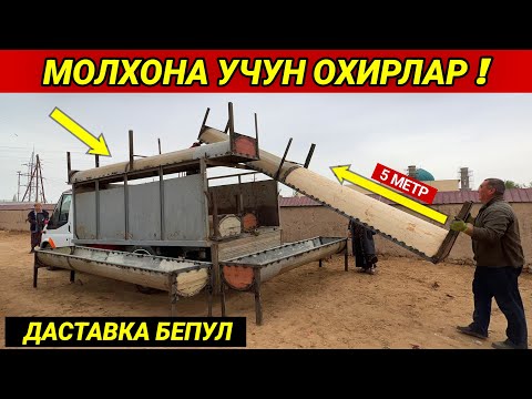 Видео: МОЛХОНА УЧУН ОХИРЛАР 2023 !!! ДАСТАВКА БЕПУЛ СИЗ СУ́РАГАН ВИДЕО ХОРАЗМ БОЗОР