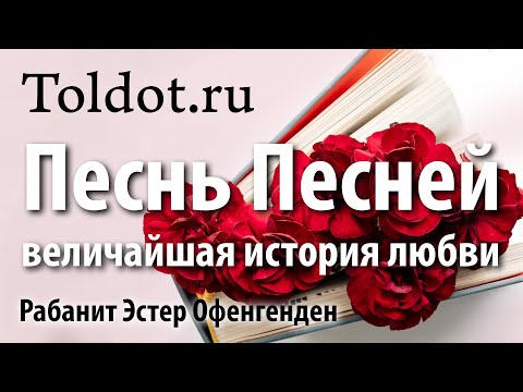 Видео: [5 часть] Удовольствие от жизни. Мудрость царя Соломона. Рабанит Эстер Офенгенден.