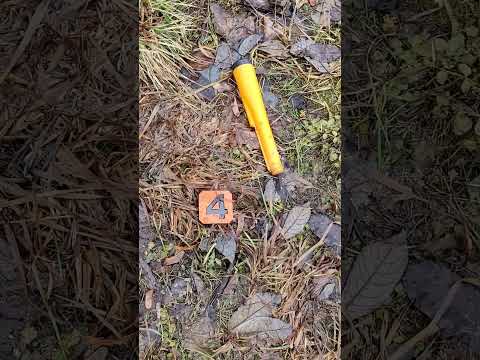 Видео: Сравнение откликов Deus, Stalker, Квазар F3, Garrett ACE 350 на примере 10 случайных целей