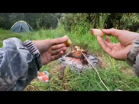 Видео: С ХЭВИ ФИДЕРОМ НА РЕКЕ ПРИПЯТЬ  РЫБАЛКА НА РЕКЕ С ПАЛАТКОЙ