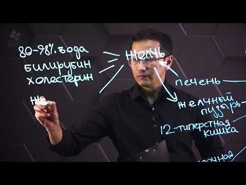 Видео: Эмульгирование жиров под действием желчи. 9 класс.