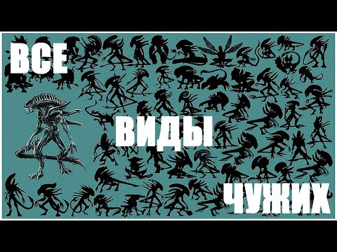 Видео: ВСЕ ВИДЫ КСЕНОМОРФОВ