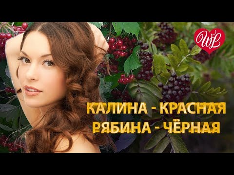 Видео: КАЛИНА КРАСНАЯ  РЯБИНА ЧЕРНАЯ ♥ МУЗЫКА ДУШИ WLV ♥ ДУШЕВНЫЙ ХИТ-ДУША ТАНЦУЕТ ♥ RUSSISCHE MUSIK
