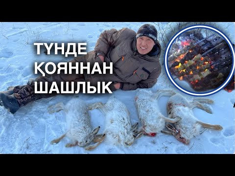 Видео: 4 қоян аулап, шашлык пісірдім. Шашлык из зайца ОХОТА