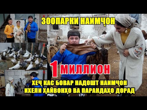 Видео: Зоопарки Наимчон. Хеч Кас Бовар надошт Наимчон Инхел Парандахо ва Хайвонхо Дорад.