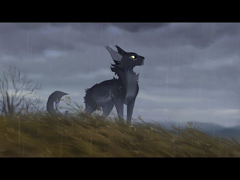 Видео: warriors cats-нас не догонят-|клип|