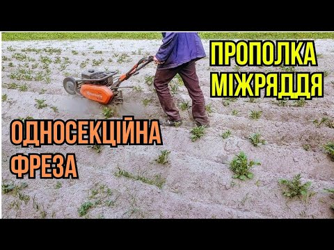 Видео: Культиватор husqvarna tf 230 Прополювання міжряддя односекційною фрезою #хускварна #будні #город