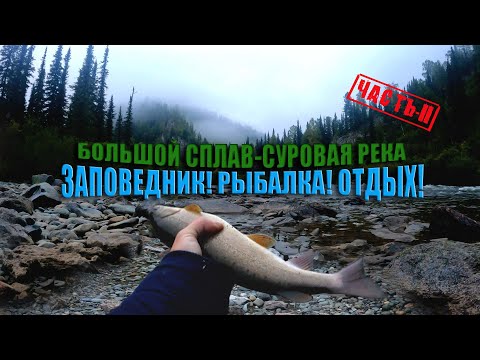 Видео: БОЛЬШОЙ СПЛАВ ПО СУРОВОЙ РЕКЕ! ЗАПОВЕДНИК! РЫБАЛКА! РЕКА УСА! ЧАСТЬ 2 #сибирь #путешествие