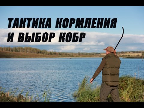 Видео: Тактика кормления  и выбор кобры для рыбалки.