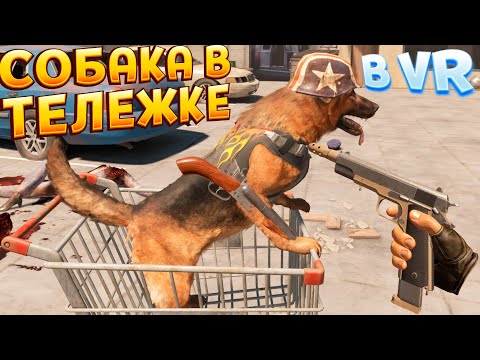 Видео: СОБАКА В ТЕЛЕЖКЕ В ВР ( Arizona Sunshine 2 VR )