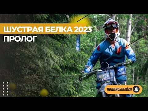 Видео: Шустрая Белка 2023. Пролог.