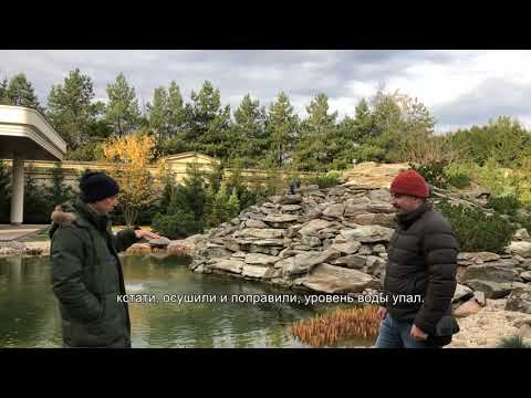 Видео: Пруд превратится в болото? Такое возможно? Узнай быстрее ответ тут!