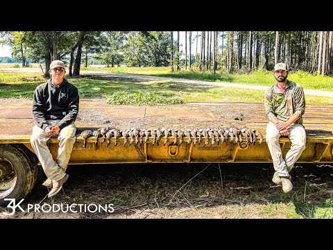 Видео: «Миссисипи Блю Уингз» | 30 «Тил» за 30 минут