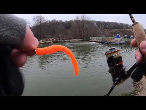 Видео: МИСАЙЛОВО TROUT.  Форель в середине ноября