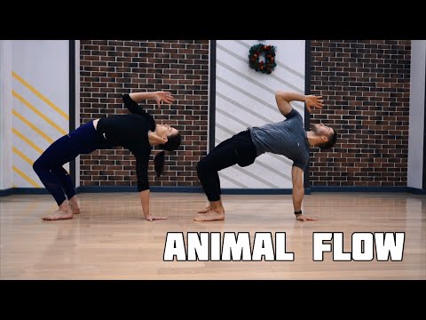 Видео: Что такое Animal Flow / Тренировка для Новичков