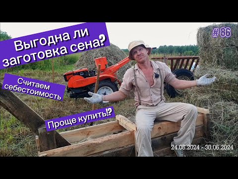 Видео: Выгодна ли заготовка сена? Считаем себестоимость.. Проще купить!?