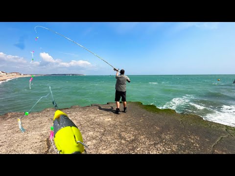 Видео: Отправьтесь на морскую рыбалку на макрель в Сифорде