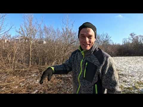 Видео: Один і один не серйозно, 2.2 то інша справа. Це вже солідно. Заготівля дров міні-трактор, арпал 120.