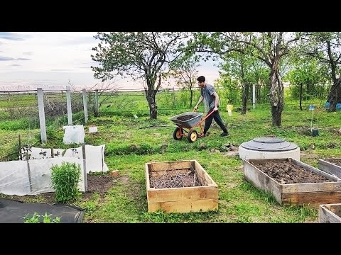 Видео: Делаем ВЫСОКИЕ грядки и сажаем МНОГО цветов