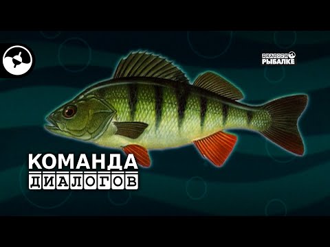 Видео: Трехречье. Зима. Окунь | Классика