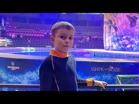 Видео: Кири в цирке на воде 