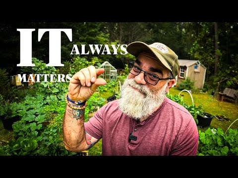 Видео: Эти недооцененные садоводческие задачи имеют значение