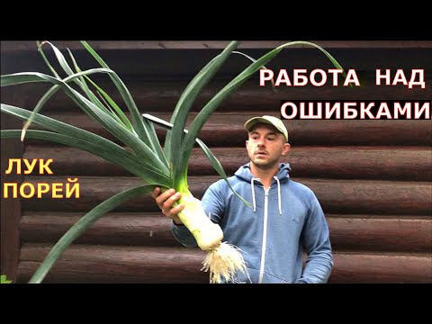 Видео: Как вырастить ОГРОМНЫЙ ЛУК ПОРЕЙ ? От семян до урожая в одном видео.