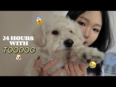 Видео: НОХОЙТОЙ НЭГ ӨДӨР 😱🐶🦮 [its not easy ㅠㅠ]