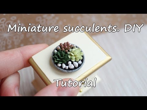 Видео: Miniature succulents. Tutorial. DIY. Polymer clay. Миниатюрные суккуленты из полимерной глины.