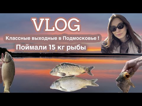 Видео: VLOG: ШОК рыбалка, поймали 15 КГ РЫБЫ //классный отдых на Святом озере в Шатуре.