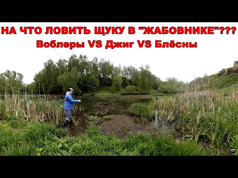 Видео: Как ловить щуку в траве, ряске и кувшинках? Летняя ловля щуки | ВихровLIFE