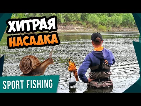 Видео: Рыбалка в ПРОВОДКУ на РАГУЛЯ! Рыба ДУРЕЕТ от этой насадки!