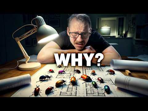 Видео: Архитекторы хотят, чтобы вы жили с насекомыми