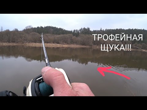 Видео: В ПОИСКАХ ТРОФЕЙНОЙ ЩУКИ, РАННЕЙ ВЕСНОЙ!!! Первые трофеи есть!