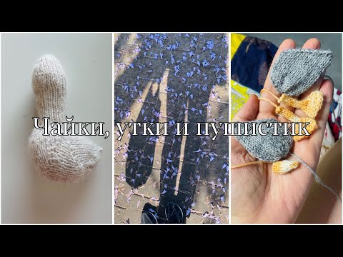 Видео: В мире животных какое-то:)