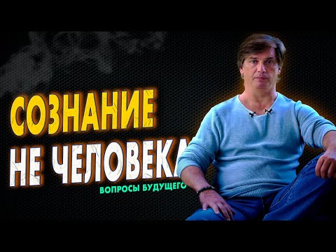 Видео: Есть ли не человеческие задачи сознания | В поисках ответа