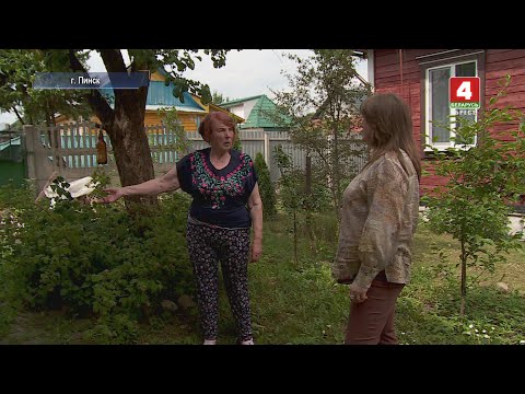 Видео: СОСЕДИ ПОД НАПРЯЖЕНИЕМ