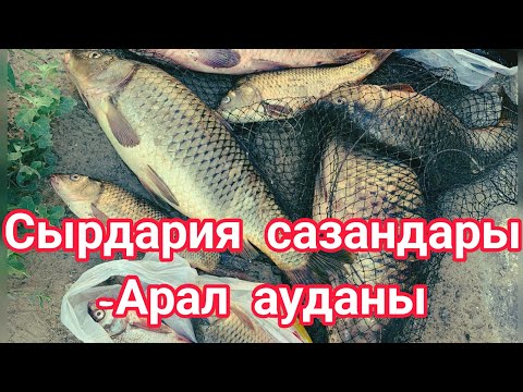 Видео: Сазан аулау-Арал ауданы! @WwGGGwW