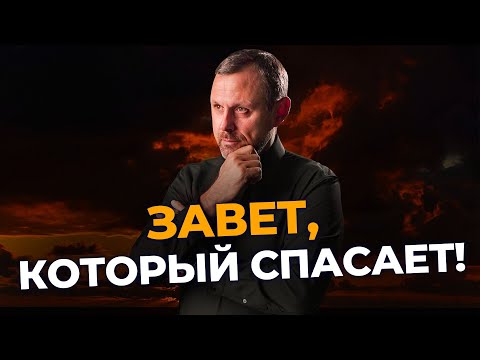 Видео: Мои обязанности по завету