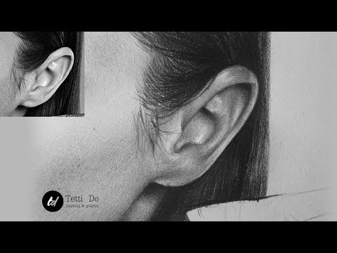 Видео: Как рисовать ухо.  Штриховка в портрете