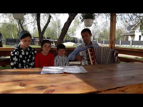 Видео: Чому пісня замовкла і струна не звучить.