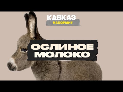 Видео: Кавказ накормит. Ослиное молоко