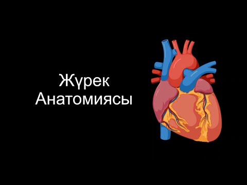 Видео: Жүрек  1 бөлім